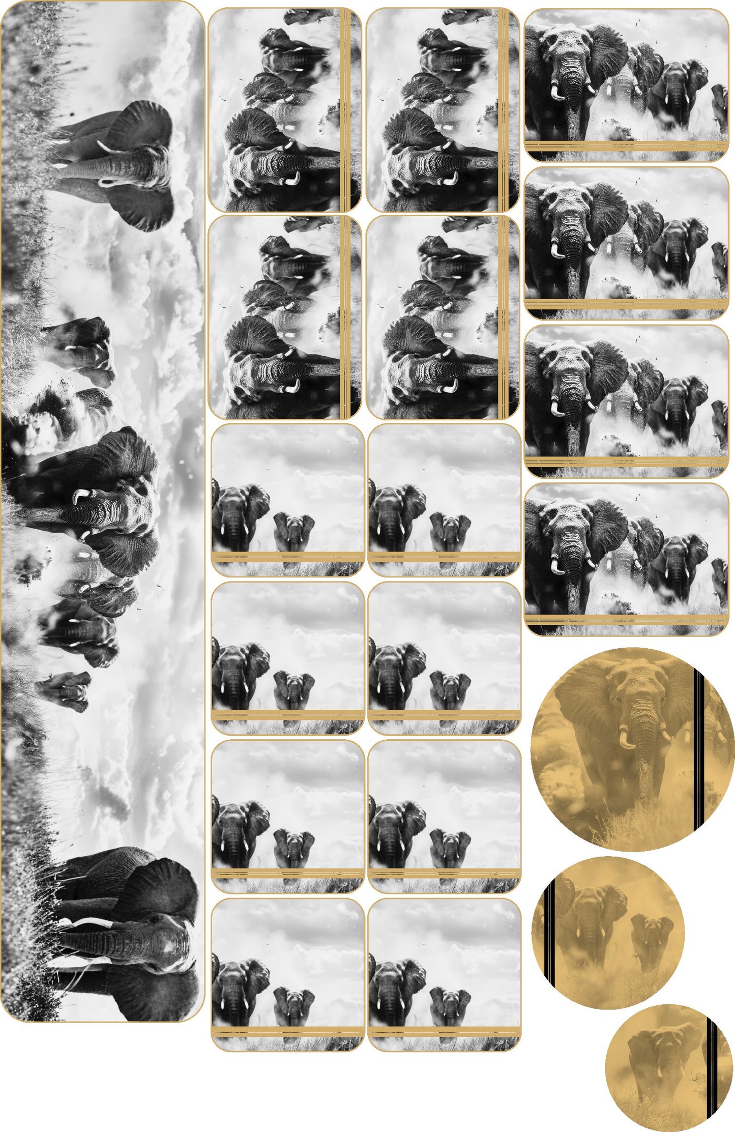 BW Elephant Savannah Napkins