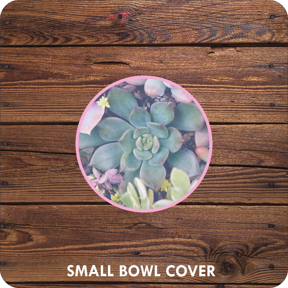 Succulents Bowl Covers