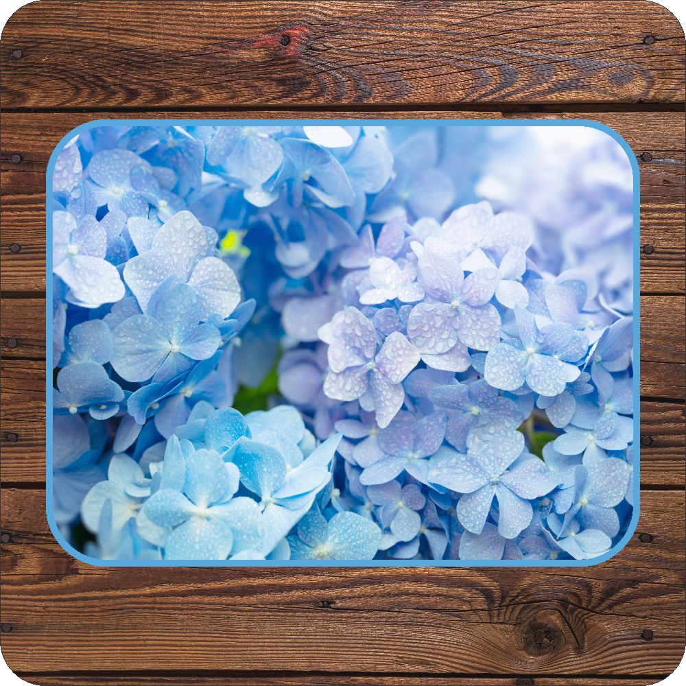 Hydrangea Table Set