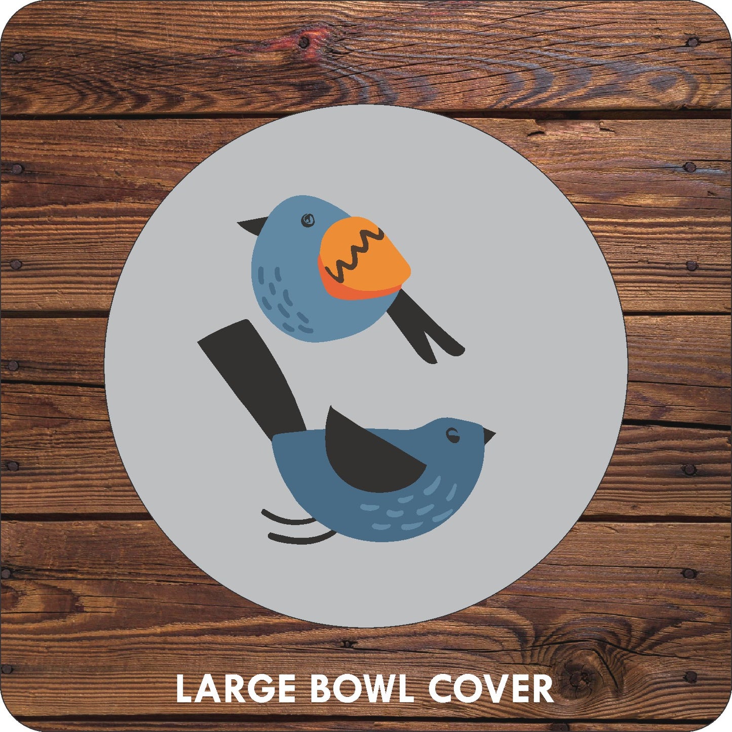 Little Birdie Covers