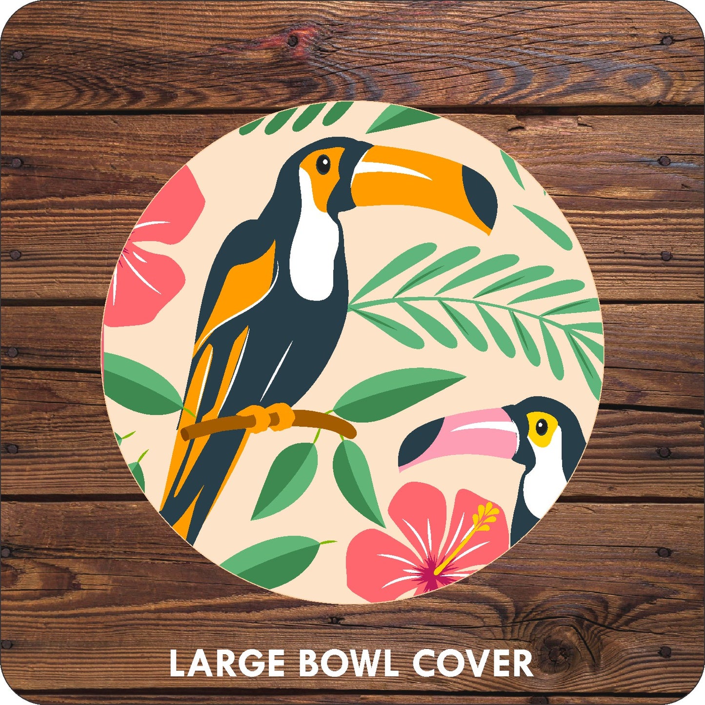 Toucan Covers